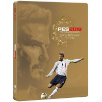 PES 2019: Pro Evolution Soccer - David Beckham Edition (PS4, русские субтитры)