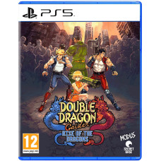 Double Dragon Gaiden Rise of the Dragons (PS5, английская версия)