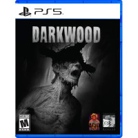 Darkwood (PS5, русские субтитры)