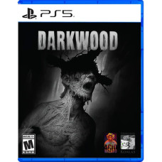 Darkwood (PS5, русские субтитры)